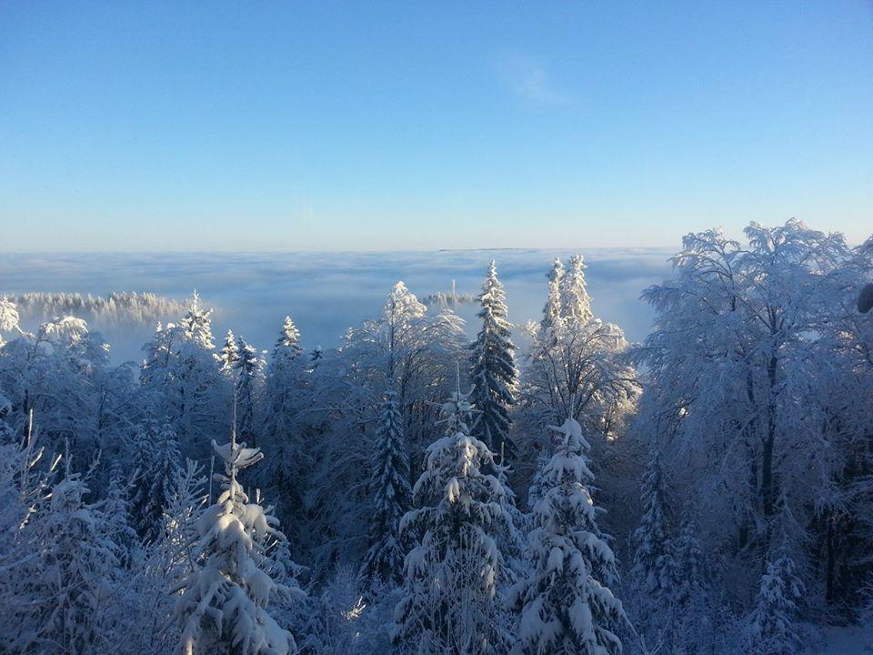 Chalet Baluma Maluba Jahorina Bagian luar foto